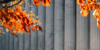 fall leaves in front of a federal building