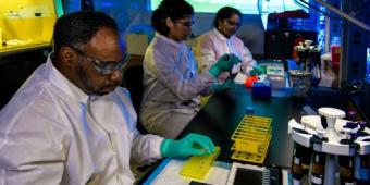 People working in a lab 