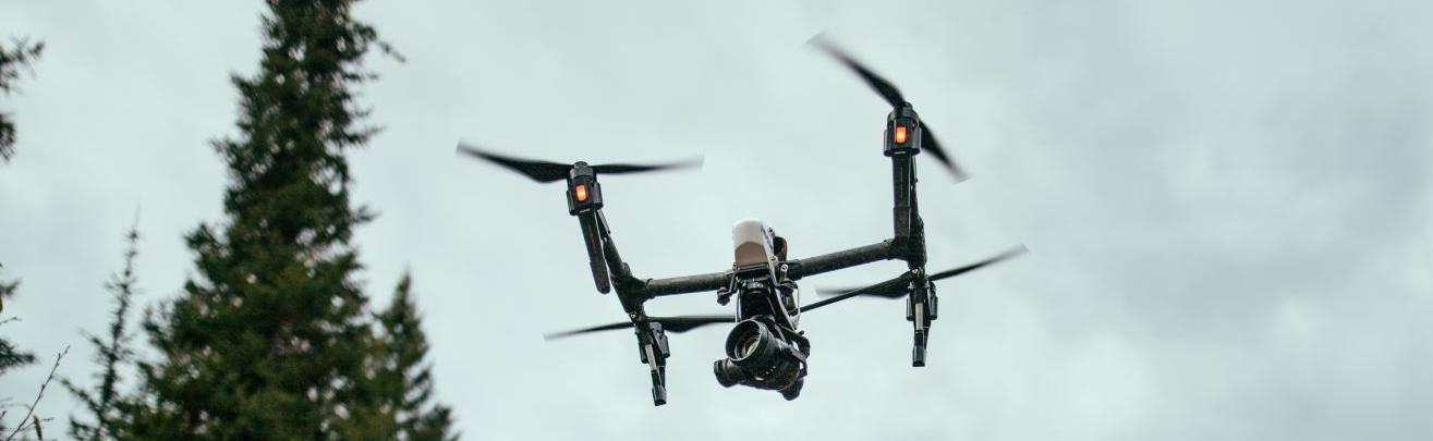 Drone flying near pine trees